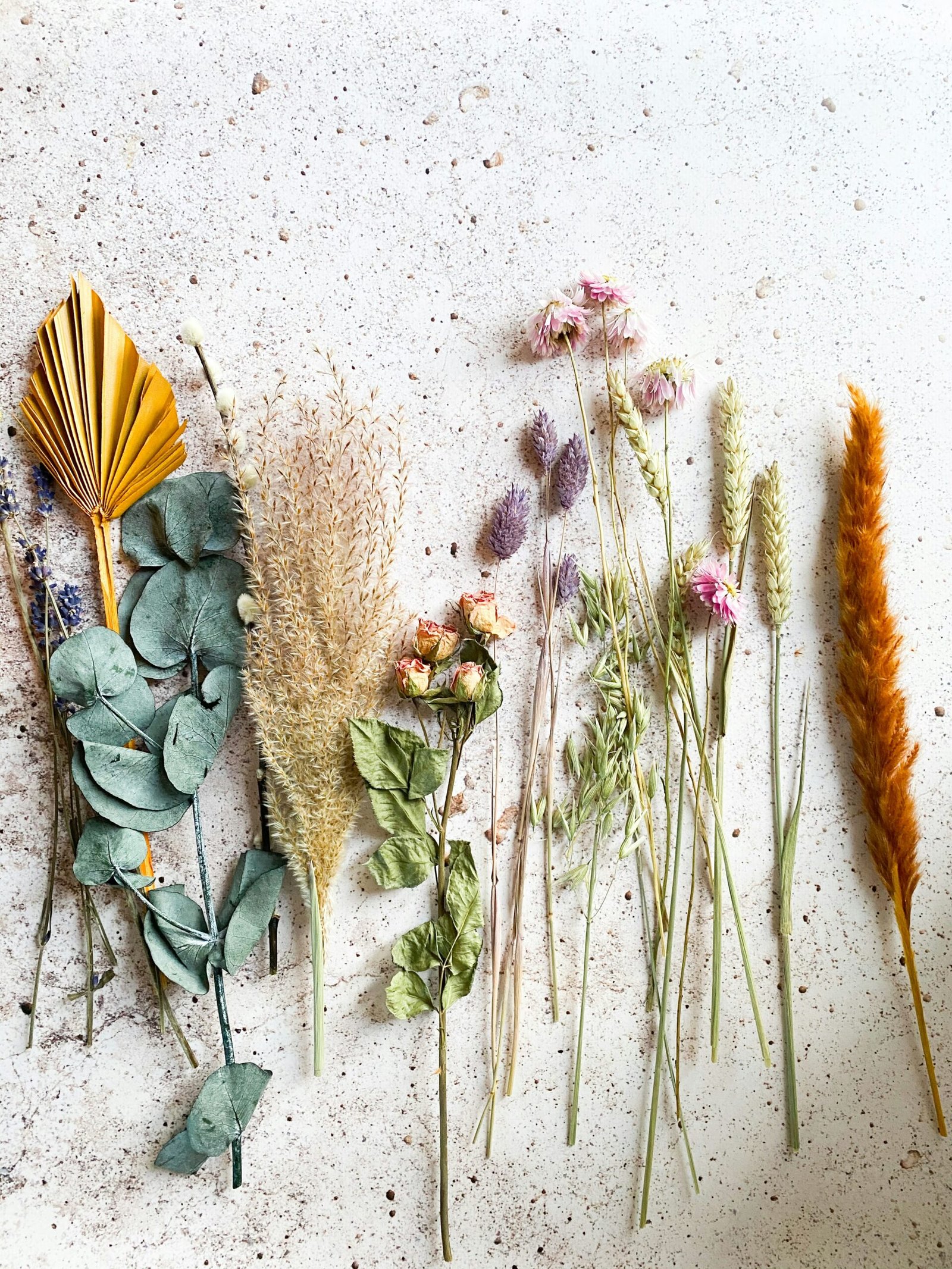 Trockenblumen gibt es in vielen Formen und Farben