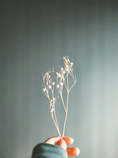 Einzelblumen